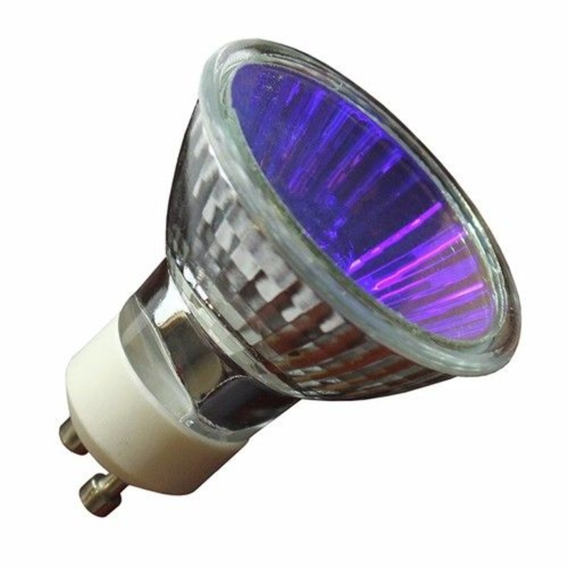 Status 50W Blue Halogen GU10 Spotlight Bulb