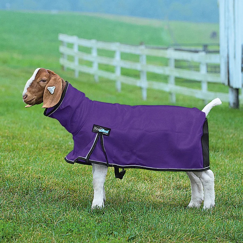 Weaver Leather ProCool Goat Blanket with Reflective Piping, Mesh Butt