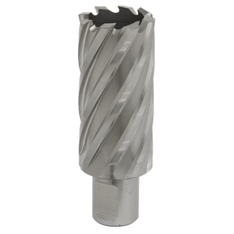 Worksafe Rotabor Cutter HSS 29mm – Cut Depth 50mm
